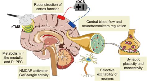 Frontiers Non Invasive Brain Stimulation For Central Neuropathic Pain