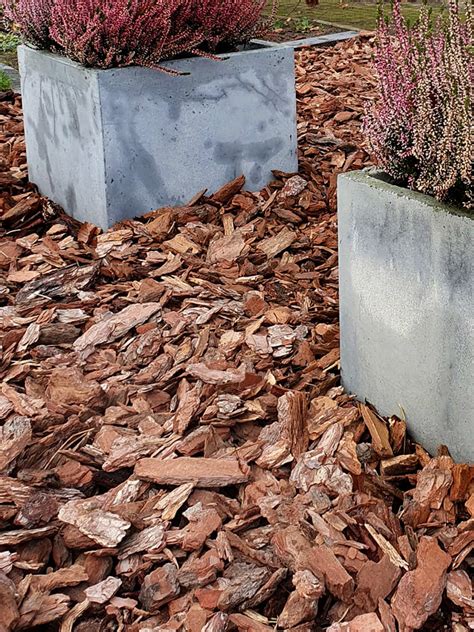 Boomschors Frans Kopen Dennenschors Voor De Tuin Per Kuub Geleverd