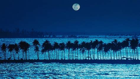 Ocean Moon Wallpapers - Top Free Ocean Moon Backgrounds - WallpaperAccess