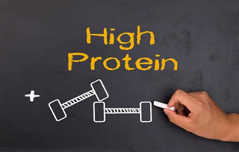 10 Best High Protein Foods to Build Muscle – Alpha Wolf Nutrition