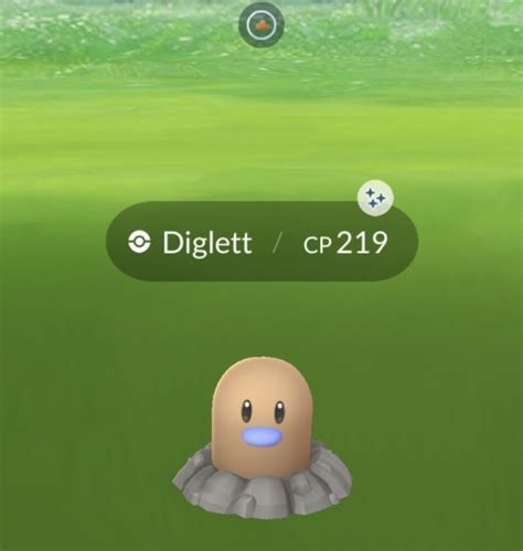 #Shiny Diglett on Tumblr