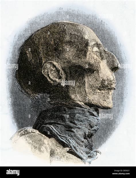 Profile Of Ramses Ii Mummy Excavated In The Late 1800s Hand Colored