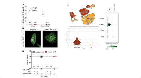 Primary human podocyte-like cells do not indicate complete... | Download Scientific Diagram