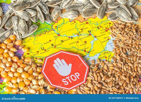 Wheat Grains Corn And Sunflower Seeds On The Map Of Ukraine With Stop