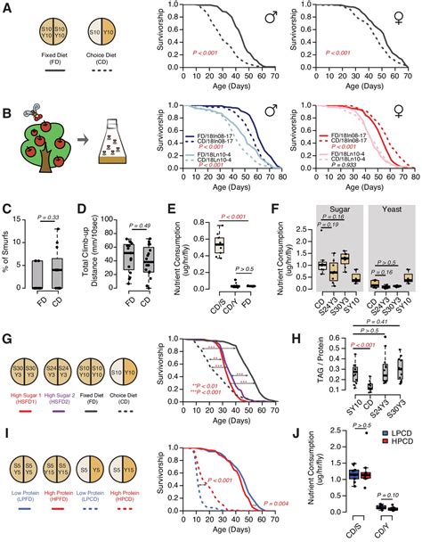 Figures And Data In Drosophila Serotonin A Receptor Signaling