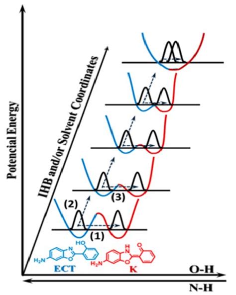 Schematic Illustration Of The Potential Energy Surfaces Where Proton Download Scientific