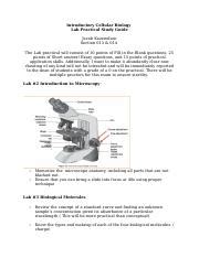 Bio Practical Study Guide Docx Introductory Cellular Biology Lab