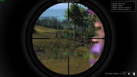 [Release] theHunter - External (Steam)