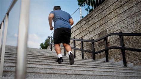 Causas Y Consecuencias De La Obesidad Global Obesity Group