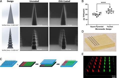 Advances In Additive Manufacturing 3D Printed Microneedles BioTrib