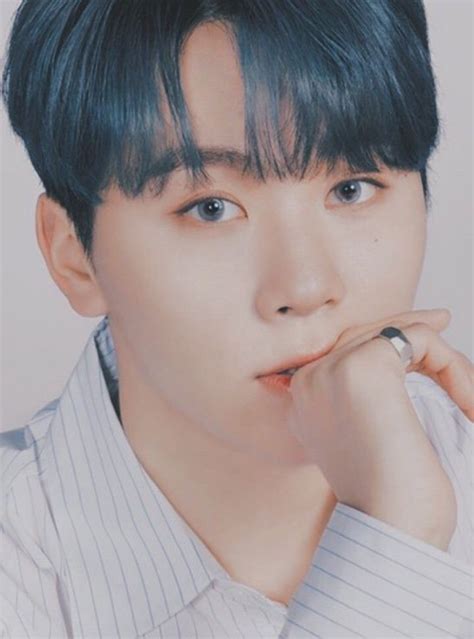 Seungkwan Wiki Carat Amino