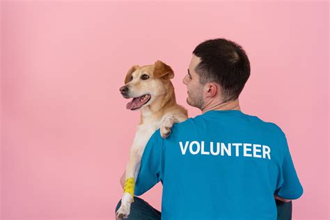 How to Support Local Animal Shelters This Christmas - PBS Pet Travel