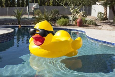 Derby Duck Pool Float Seats Several Pool And Spa News Products Pools