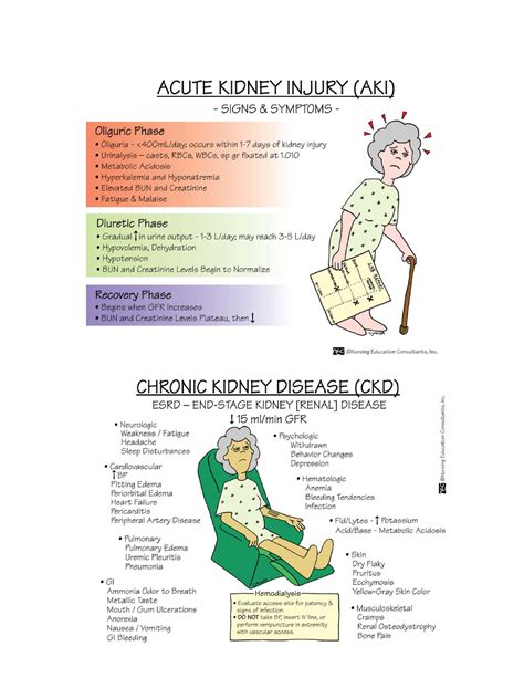 AKI vs CKD - Nursing - NUR 107 - Studocu