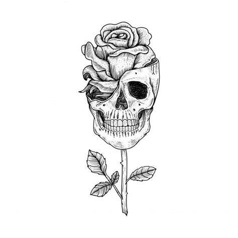 Premium Vector Tattoo And T Shirt Design Hand Drawn Skull And Rose