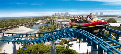 seaworld gold coast gold coast  eintrittskarten getyourguide