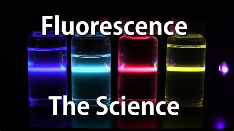 What Are The Different Types Of Fluorescence