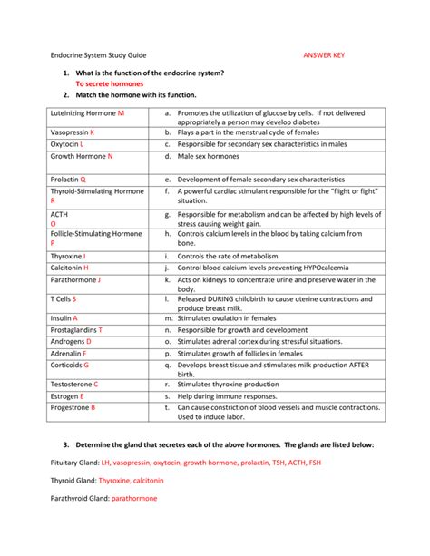 Endocrine System Study Guide