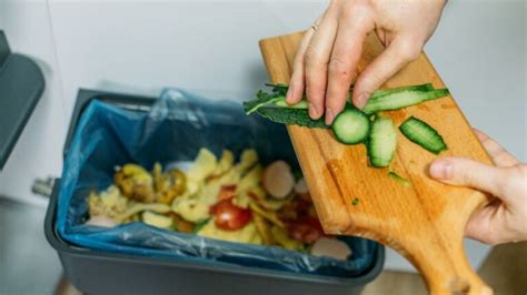 Food Waste Statistics