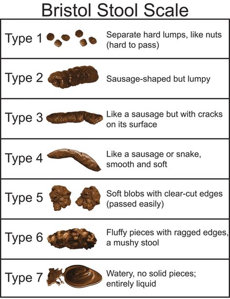 Printable Bristol Stool Chart