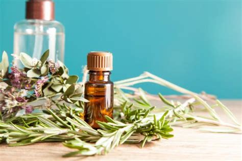 C Mo Usar La Salvia Para Las Canas Pasos