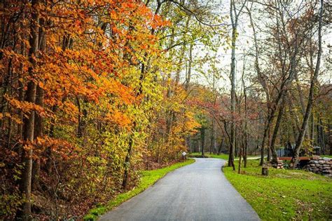 The Dogwood Canyon Waterfalls In Missouri Will Soon Be Surrounded By ...