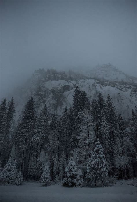 Winter at Yosemite National Park, | Free Photo - rawpixel