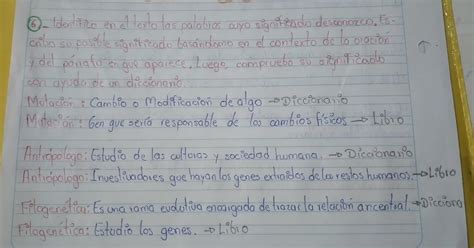 Identifico En El Texto Las Palabras Cuyo Significado Desconozco