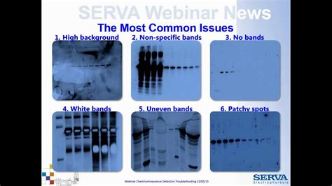 Serva Webinar Troubleshooting Ecl Western Blot Detection English