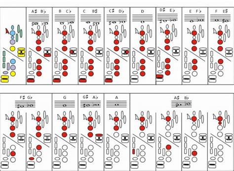 Notas Del Saxofón