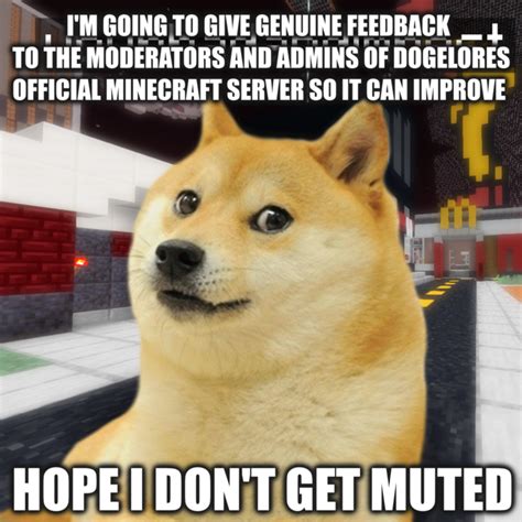 Dogecraft Meme Rdogelore Ironic Doge Memes Know Your Meme