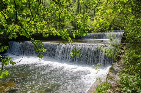 Les Gorges De L Areuse Randoresto Ch