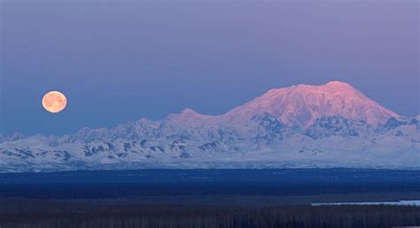 Mt. Foraker - Alaska Mountaineering School