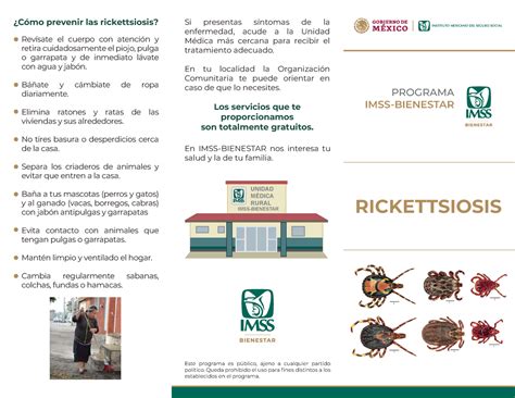 20 Triptico Rickettsiosis 2020 Carta RICKETTSIOSIS Si Presentas