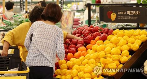 상반기 물가결산 금귤·금달걀·금징어농축수산물 물가 6년만에 최고 연합뉴스