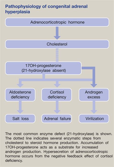 Types Of Congenital Adrenal Hyperplasia Download Table Images