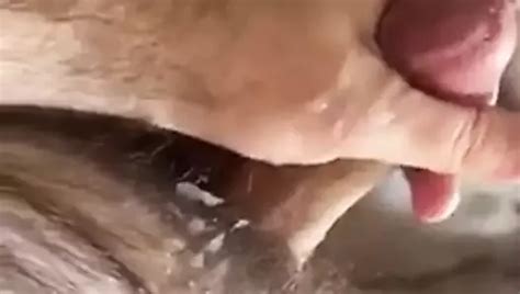 Im So Fucking Horny XHamster