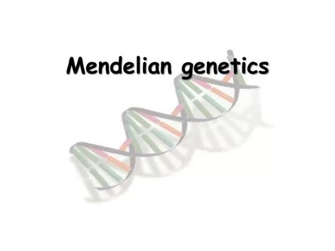 Ppt Mendelian Genetics Powerpoint Presentation Free Download Id 4832908