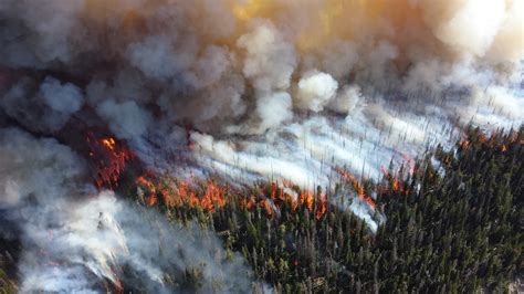 American wildfires affecting air pollution patterns - Eye On London