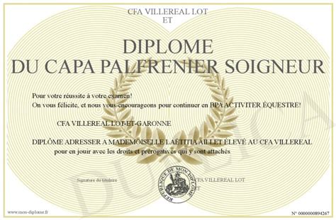 Diplome Du Capa Palfrenier Soigneur