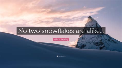 Wilson Bentley Quote No Two Snowflakes Are Alike”