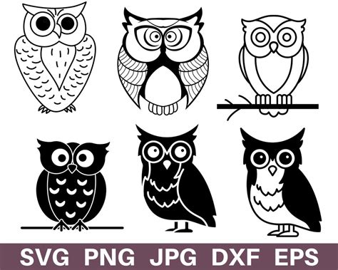 Owl Svg Owl Clipart Owl Png Cute Owl Svg Owl Cut File Etsy