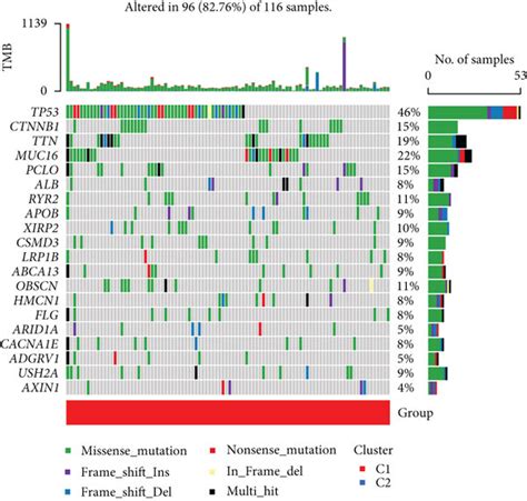 The Somatic Mutations Landscape Of Two Cuproptosis Related Clusters