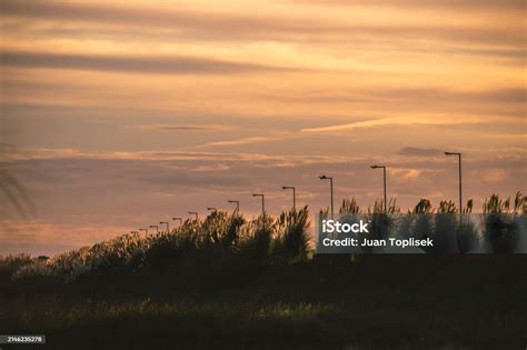 Silhouette Street Light Pole Against Orange Sky Sunset And Bush Stock ...