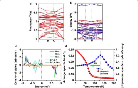 A Phonon Spectrums B Spin Resolved Electronic Band Structure And C