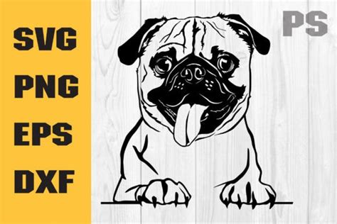 Pug Dog Svg Pug Clipart Dog Graphic By Ilukkystore · Creative Fabrica