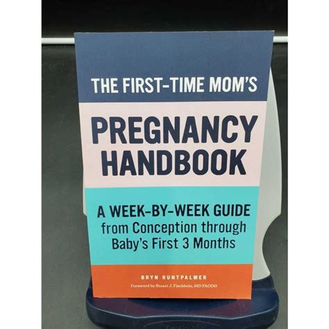 Bryn Huntpalmer The First Time Mom S Pregnancy Handbook