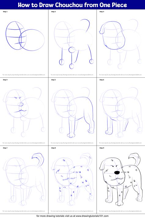 How To Draw Chouchou From One Piece One Piece Step By Step