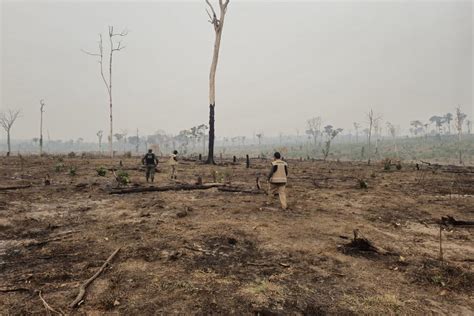 Semas Governo Do Par Intensifica Combate A Inc Ndios Florestais Na