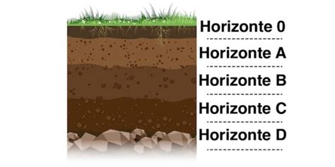 Capas Del Suelo Concepto Estratos Tipos Y Erosión Del Suelo